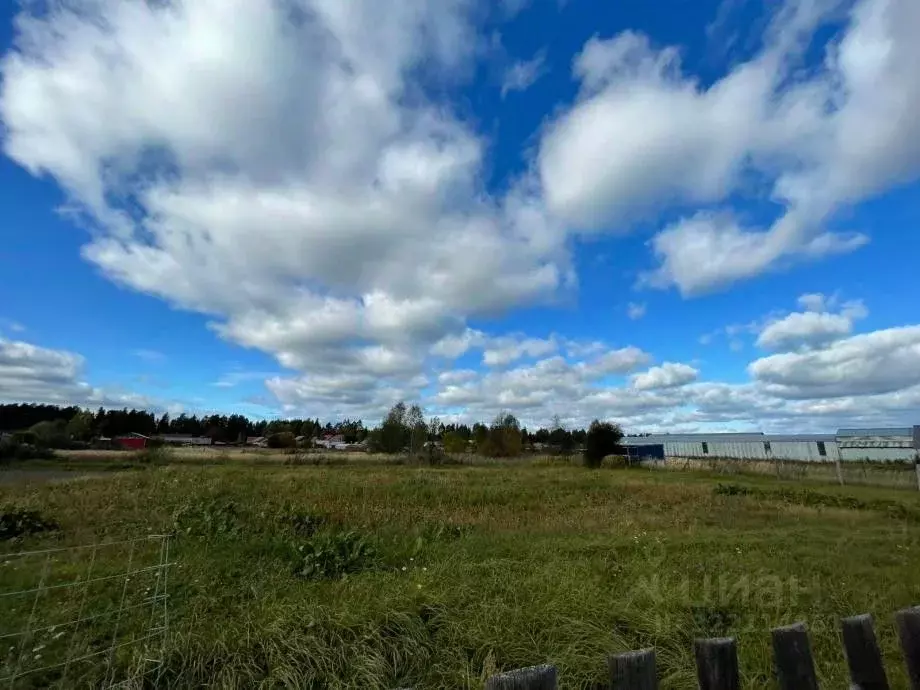 Участок в Марий Эл, Волжский район, с. Помары ул. Лесная (10.0 сот.) - Фото 1