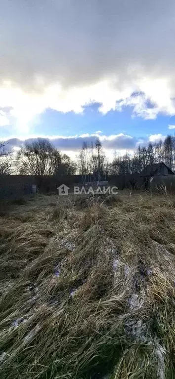 Участок в Калужская область, Дзержинский муниципальный округ, Старки ... - Фото 2