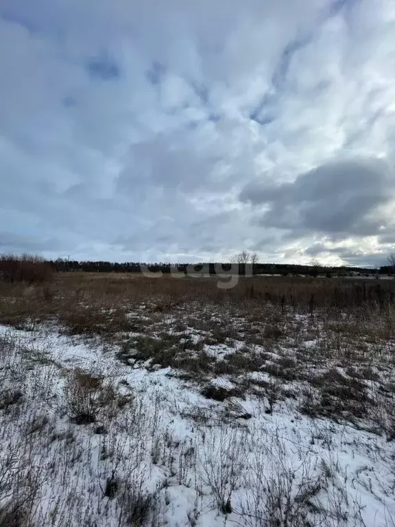 Участок в Белгородская область, Старооскольский городской округ, с. ... - Фото 0