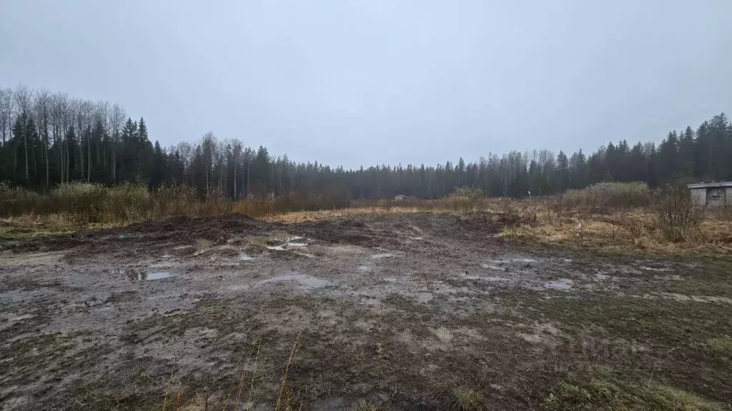 Участок в Ленинградская область, Всеволожский район, Лесколовское ... - Фото 1