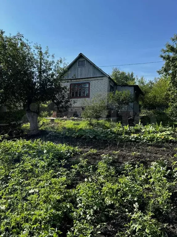 Купить Дачу В Шопино Белгородской Области Недорого