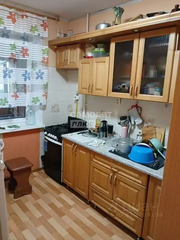 2-к кв. Липецкая область, Липецк бул. Имени Павла Шубина, 9 (49.5 м) - Фото 0