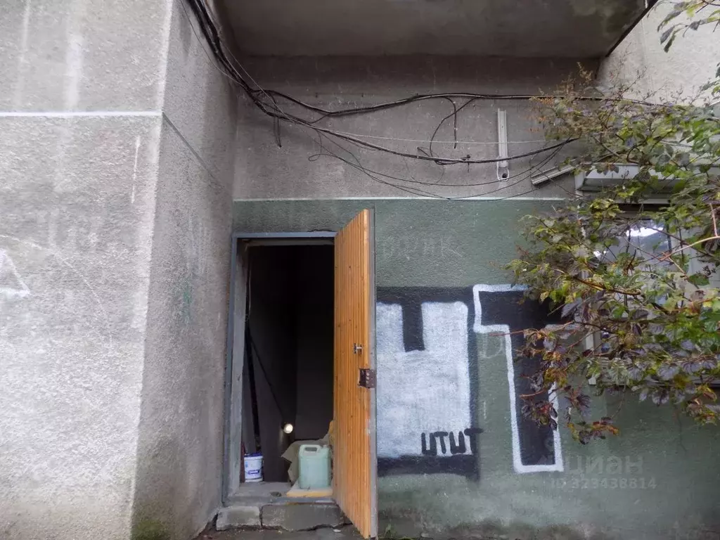 Помещение свободного назначения в Алтайский край, Барнаул ... - Фото 2