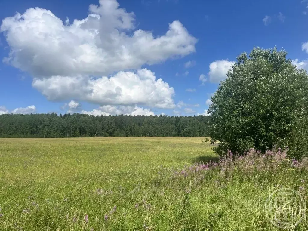 Участок в Ленинградская область, Ломоносовский район, Ропшинское ... - Фото 1