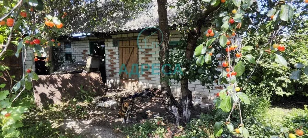 Дом в Белгородская область, Поселок Чернянка городское поселение, ... - Фото 1