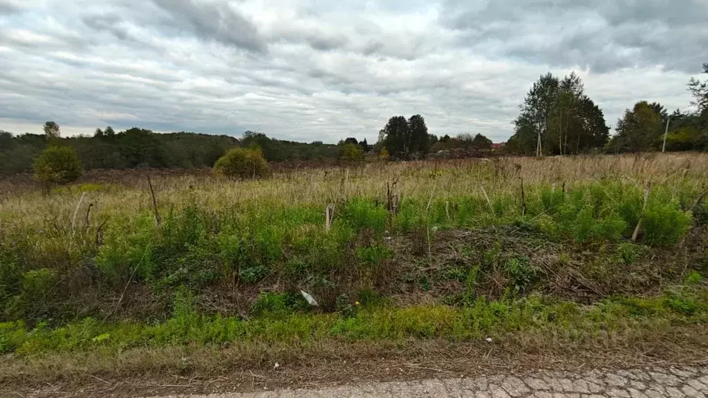 Участок в Московская область, Рузский муниципальный округ, д. Рябцево  ... - Фото 1