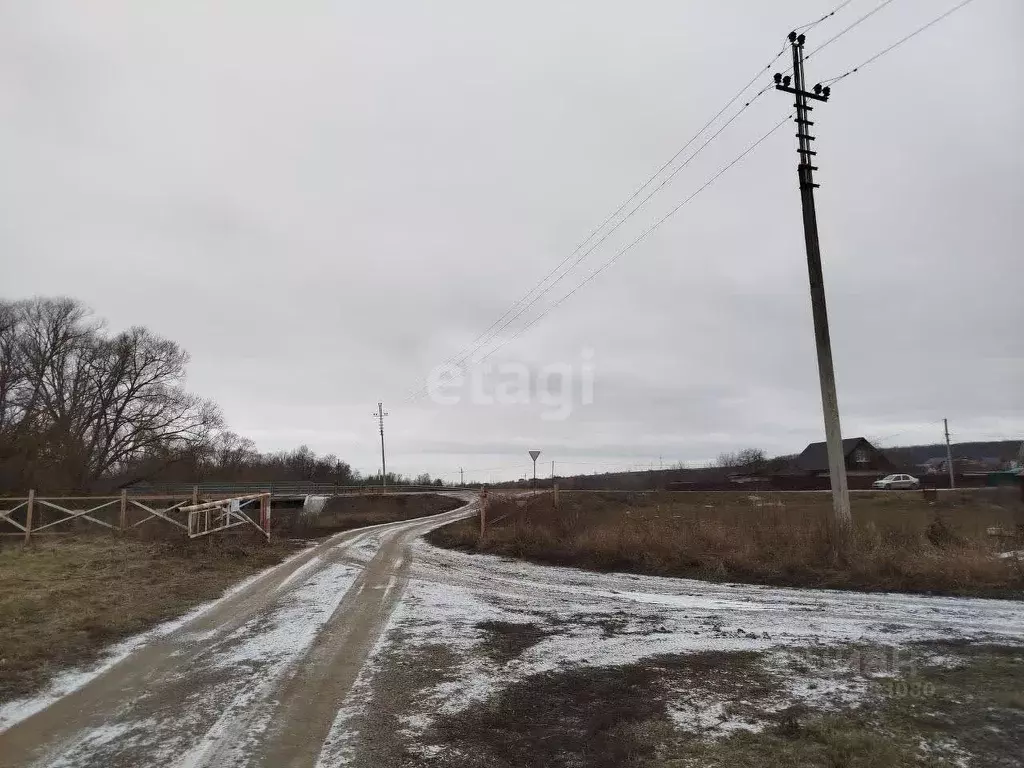 Участок в Белгородская область, Белгородский район, с. Стрелецкое, ... - Фото 0