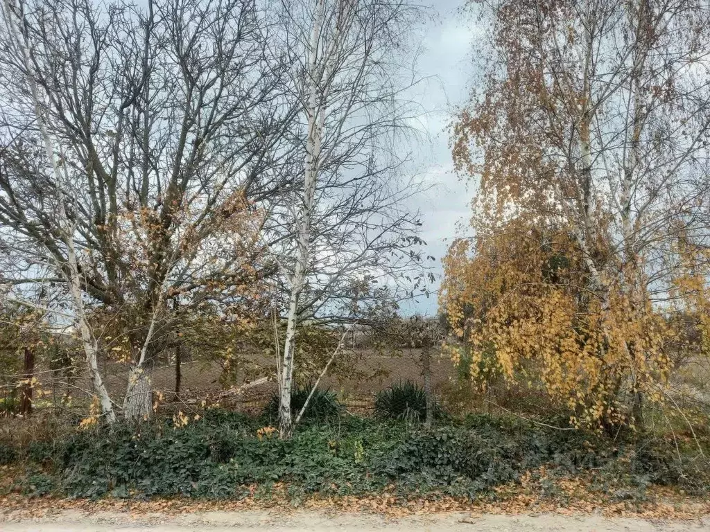 Участок в Крым, Кировское пгт ул. 16-я (5.0 сот.) - Фото 1