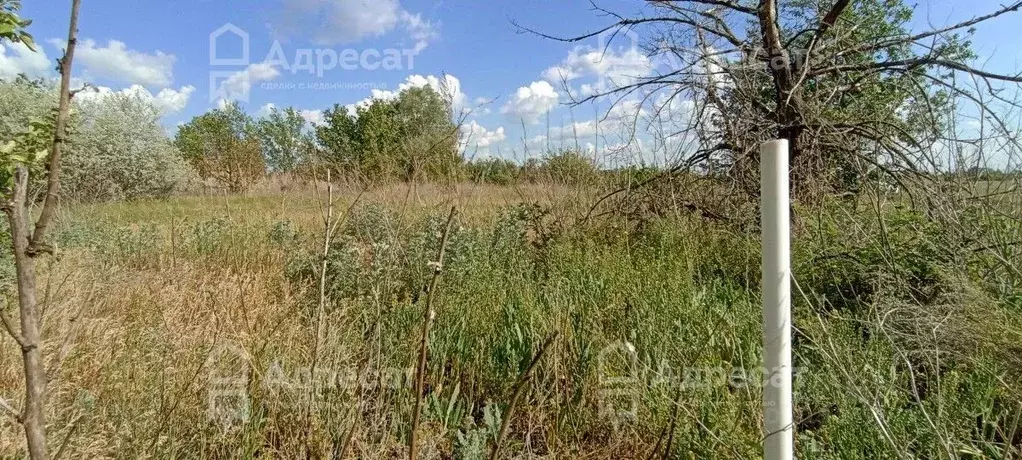 Участок в Волгоградская область, Краснослободск Среднеахтубинский ... - Фото 0