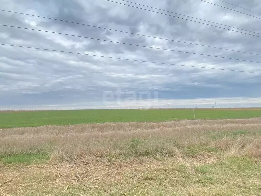 Участок в Крым, Сакский район, с. Молочное ул. Лиманная (60.0 сот.) - Фото 0