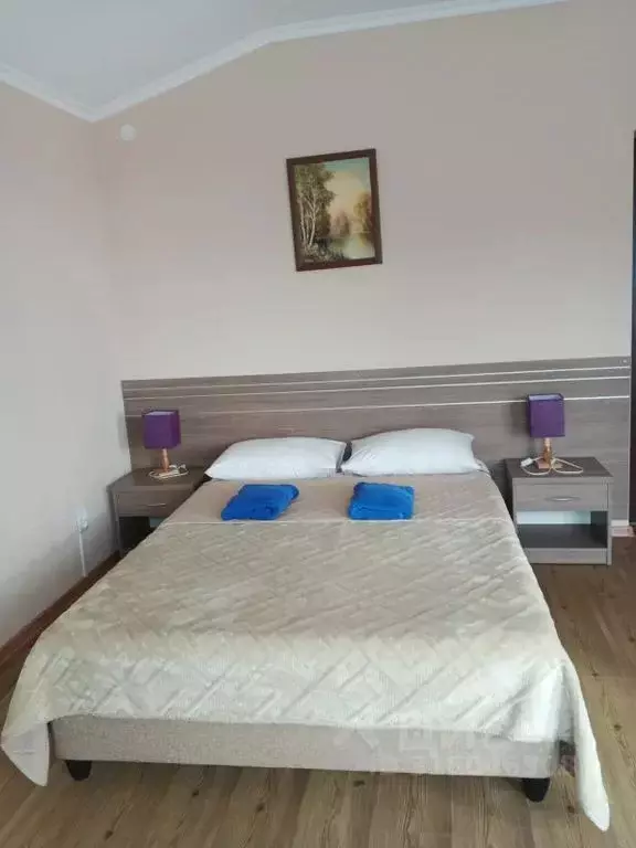 Комната Краснодарский край, Сочи ул. Декабристов, 167/10 - Фото 1