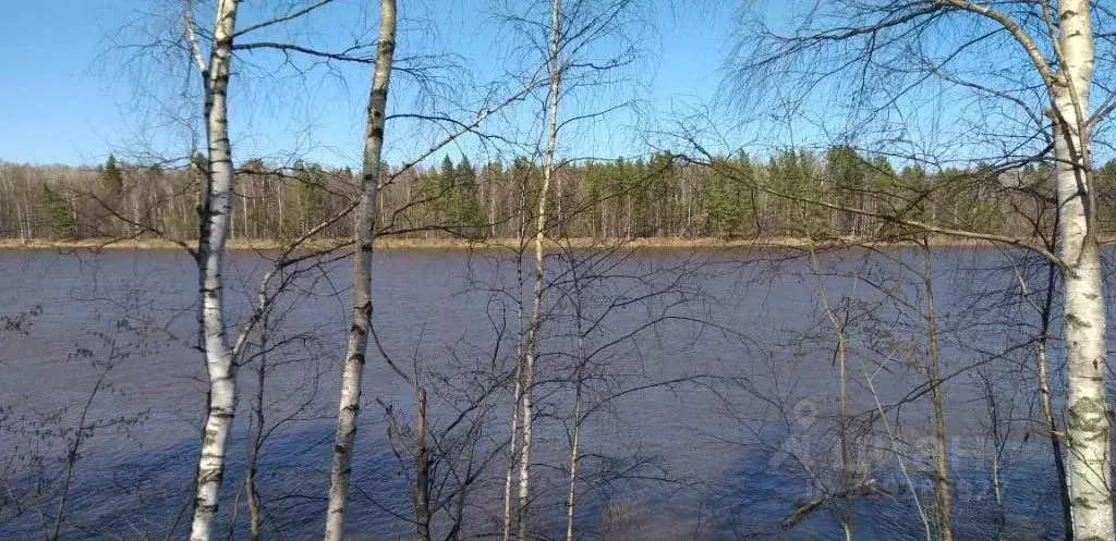 Коттедж в Нижегородская область, Воскресенский муниципальный округ, д. ... - Фото 0