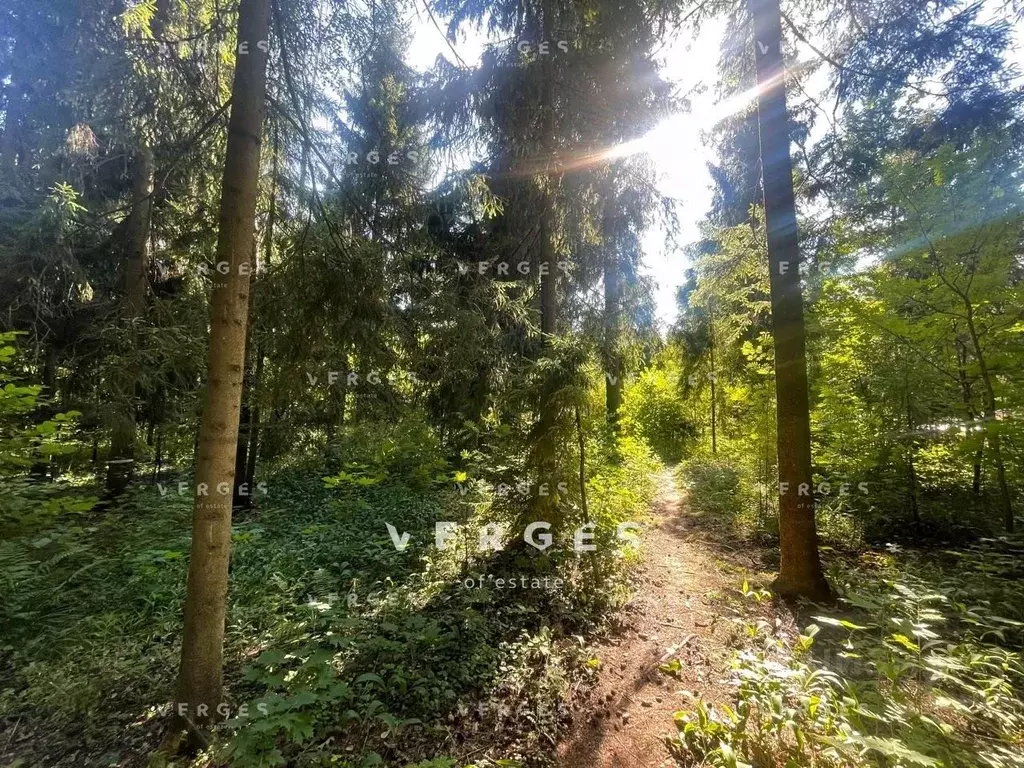 Участок в Московская область, Истра муниципальный округ, д. Чесноково, ... - Фото 1