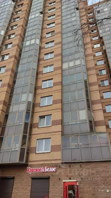 1-к кв. Санкт-Петербург просп. Луначарского, 104к2 (38.0 м) - Фото 1