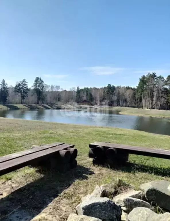 Участок в Тюменская область, Тюменский муниципальный округ, ... - Фото 1