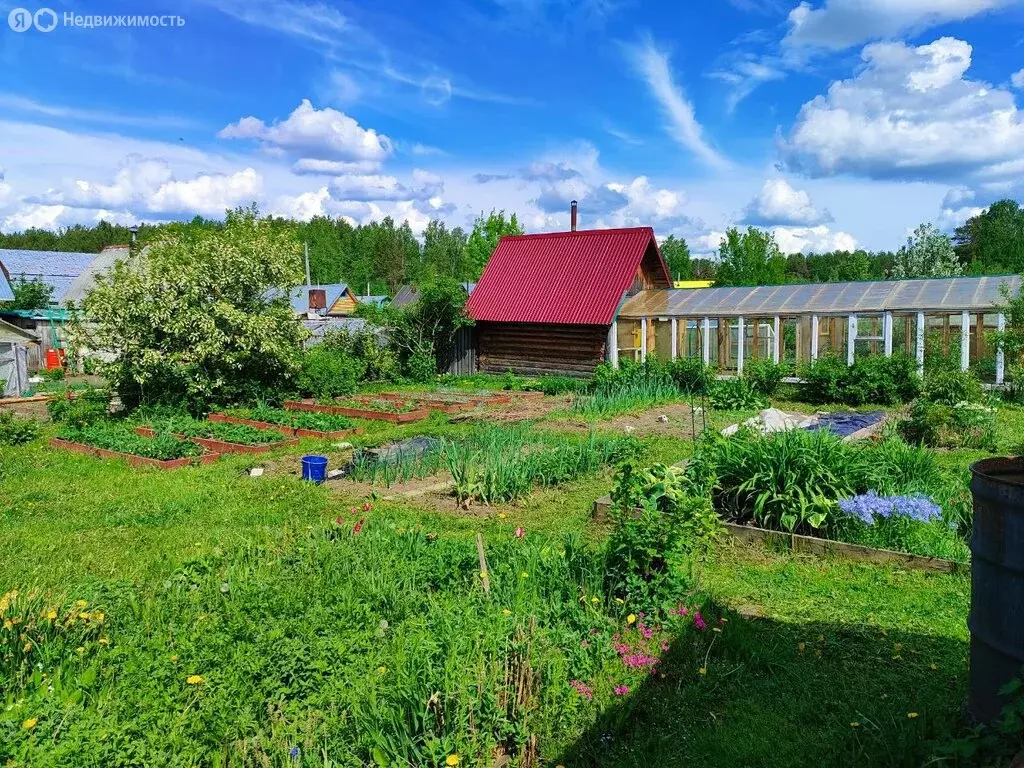 Дом в Березники, СНТ № 47, 34 (15 м) - Фото 0