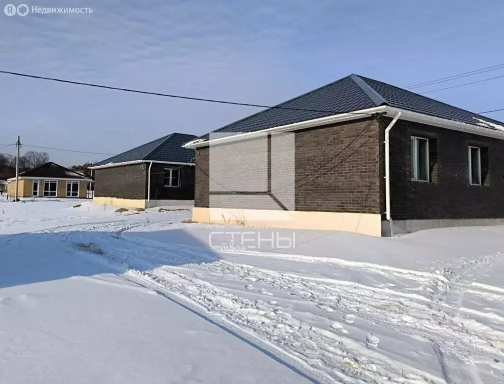 Дом в Амурская область, Благовещенский муниципальный округ, село ... - Фото 2