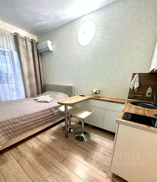 Студия Краснодарский край, Сочи Виноградная ул., 89/2 (18.0 м) - Фото 2