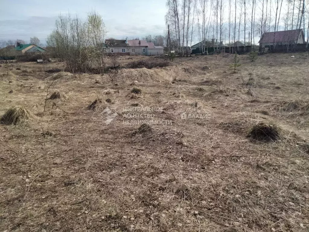 Участок в Рязанская область, Касимовский муниципальный округ, с. ... - Фото 2