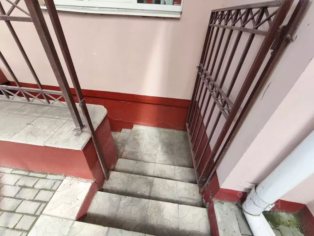 Помещение свободного назначения в Брянская область, Брянск ул. ... - Фото 1