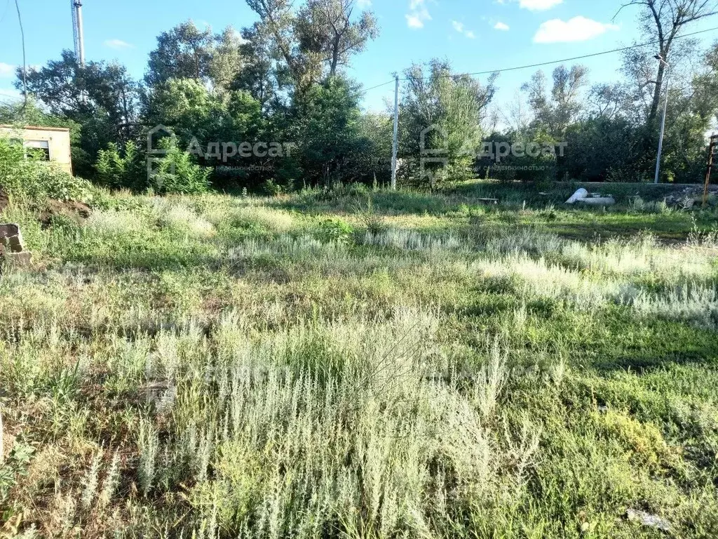 Участок в Волгоградская область, Среднеахтубинский район, Куйбышевское ... - Фото 1
