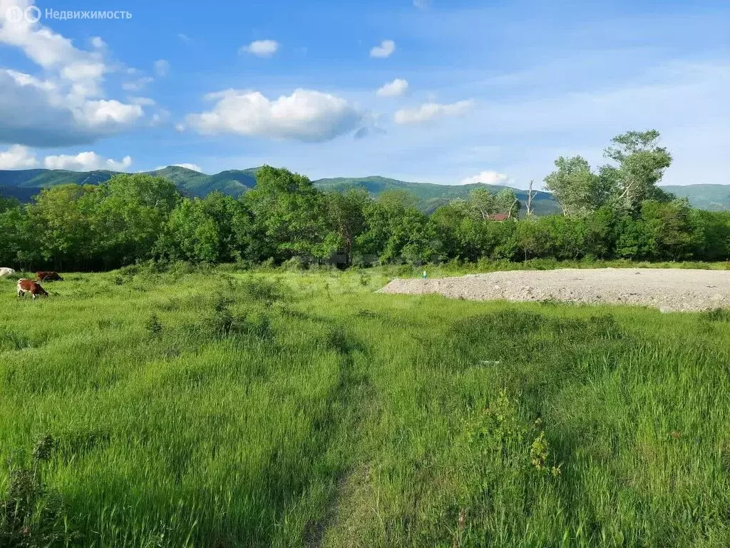 Участок в село Кабардинка, Абрикосовая улица (5.6 м) - Фото 0