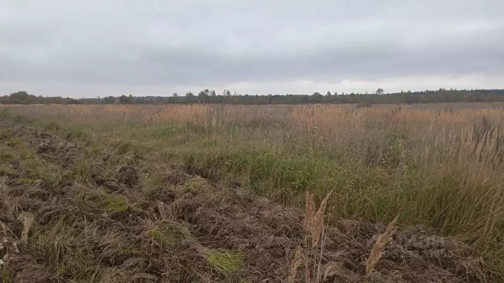 Участок в Московская область, Талдомский городской округ, д. Костино  ... - Фото 1