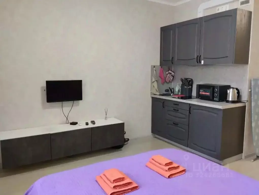 1-к кв. Московская область, Ленинский городской округ, Мисайлово пгт, ... - Фото 2