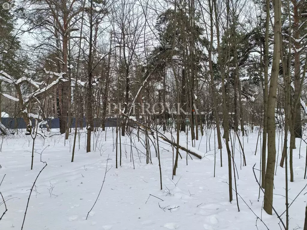 Участок в деревня Мешково, Верхняя улица (9.88 м) - Фото 2