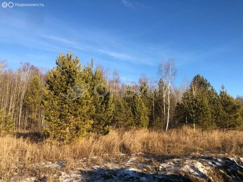 Участок в Тюменский муниципальный округ, Мальковское муниципальное ... - Фото 1
