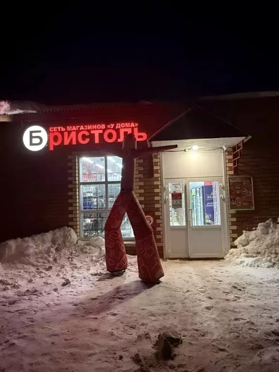 Помещение свободного назначения в Архангельская область, ... - Фото 2