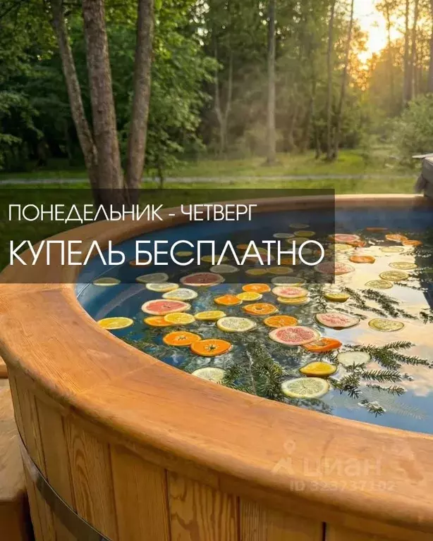 Дом в Смоленская область, Гагаринский муниципальный округ, д. Лебедки, ... - Фото 2