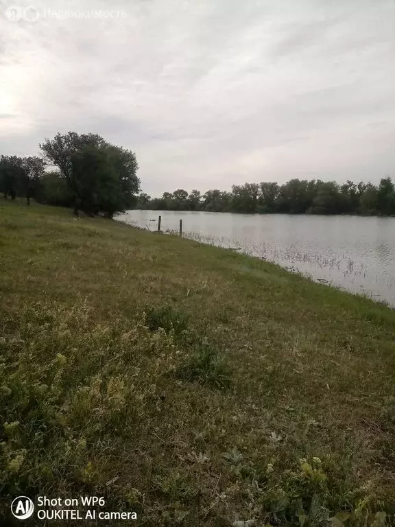 Участок в Голубинское сельское поселение, урочище Малонабатовский (250 ... - Фото 1