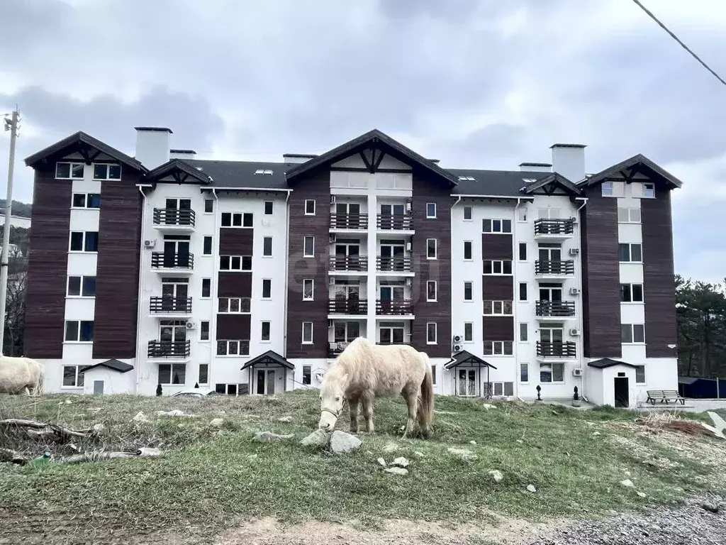 Студия Крым, Ялта муниципальный округ, Массандра пгт ул. Винодела ... - Фото 2