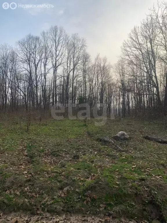 Участок в Новосвободная, Советская улица (410.91 м) - Фото 2