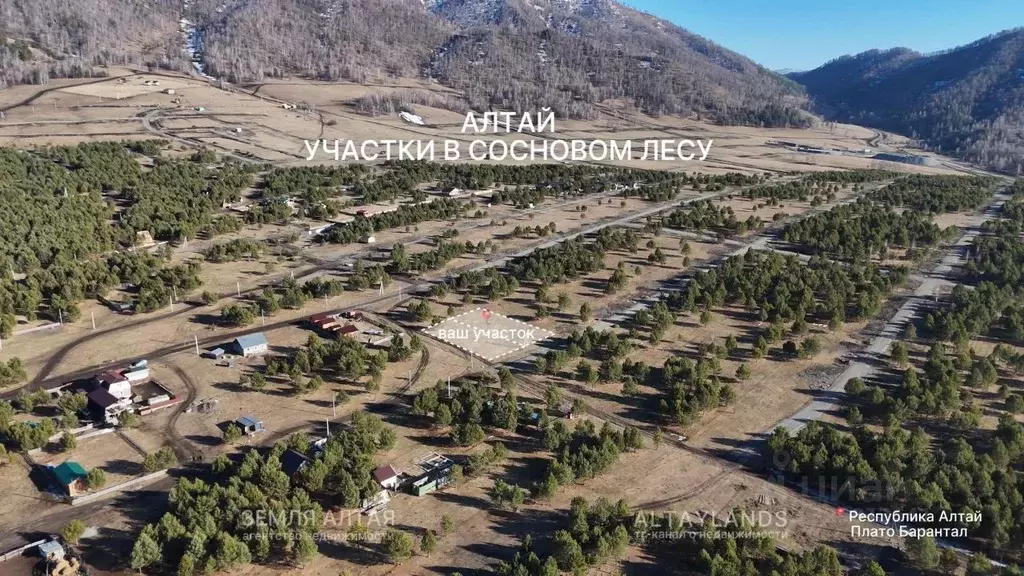 Участок в Алтай, Чемальский район, Элекмонарское с/пос  (12.0 сот.) - Фото 2