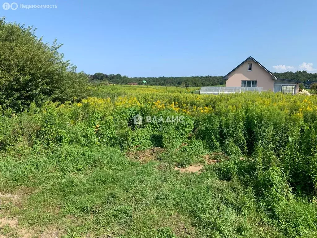 Участок в Светлогорск, СНТ Радуга, 17-я линия, 24 (6 м) - Фото 2