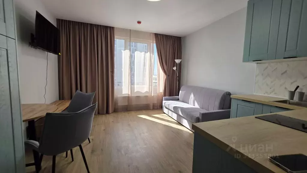 Студия Санкт-Петербург просп. Крузенштерна, 4с1 (24.0 м) - Фото 1