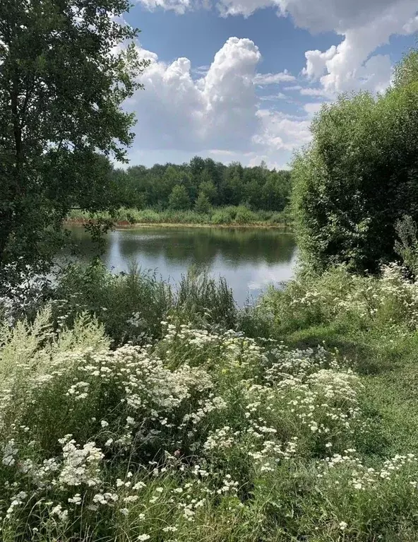 Дом в Татарстан, Тукаевский район, Князевское с/пос, Тополя СНТ  (75 ... - Фото 1