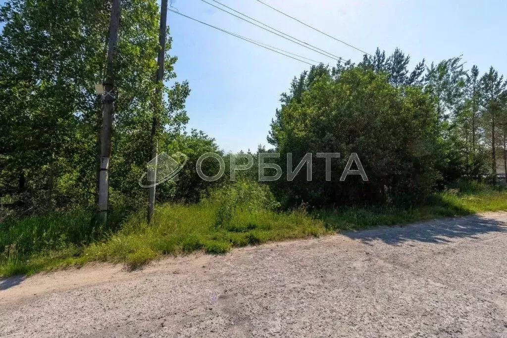 Участок в Тюменская область, Нижнетавдинский район, с. Тюнево Новая ... - Фото 1