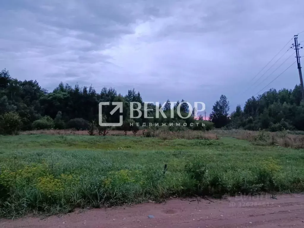 Участок в Костромская область, Костромской район, с. Сущево Советская ... - Фото 1