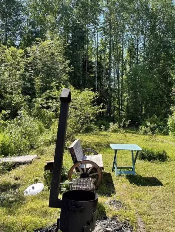 Участок в Ленинградская область, Лужский район, Мшинское с/пос, ... - Фото 1