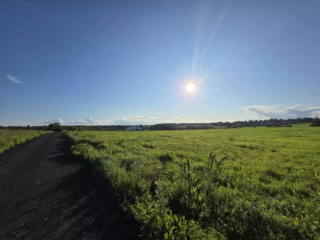 Участок в Московская область, Дмитровский муниципальный округ, пос. ... - Фото 1