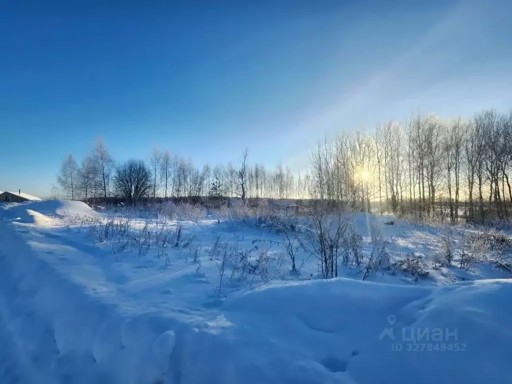 Участок в Костромская область, Судиславль пгт, Восточный мкр  (7.0 ... - Фото 2