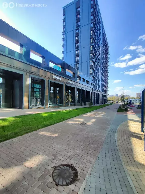 Офис (65.8 м) - Фото 1