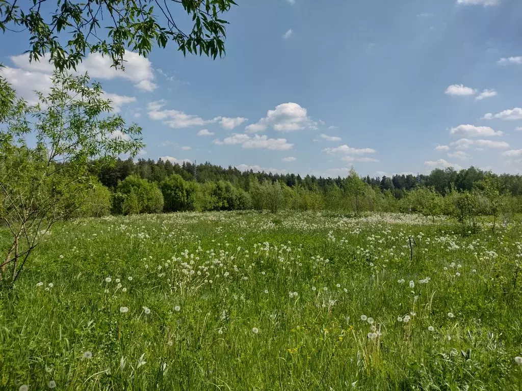 Участок в Московская область, Ногинск Богородский городской округ,  ... - Фото 0