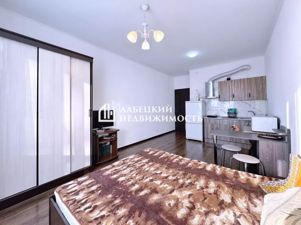 Студия Санкт-Петербург ул. Плесецкая, 16 (24.7 м) - Фото 2