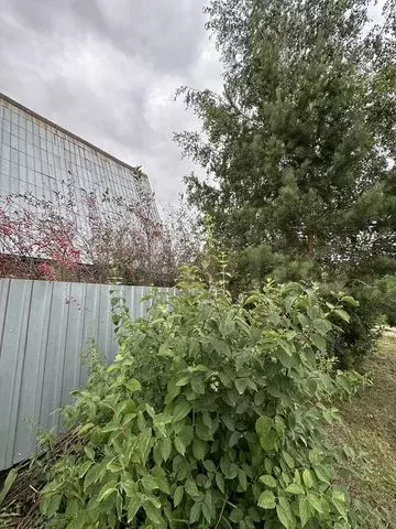 Дача 47,7 м на участке 6 сот. - Фото 0