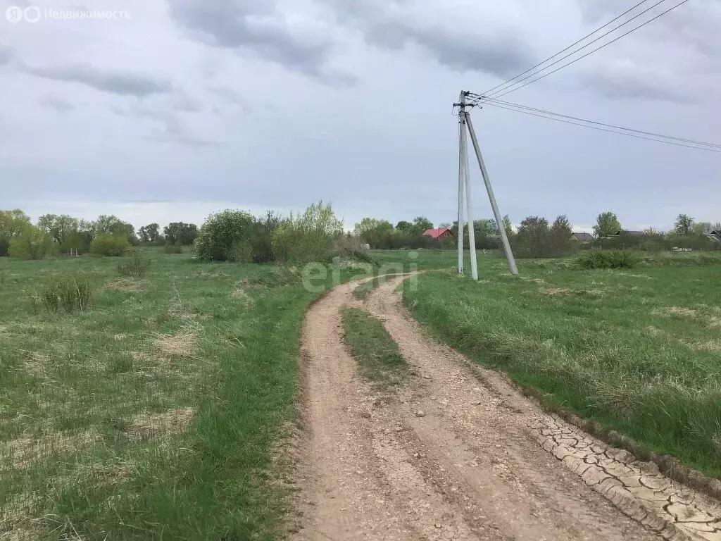 Участок в Новгородская область, Шимское городское поселение, деревня ... - Фото 1