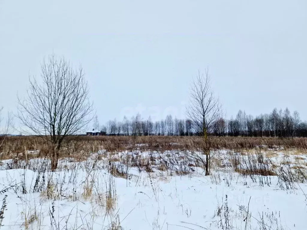 Участок в Тульская область, Тула городской округ, с. Федоровка ул. ... - Фото 0